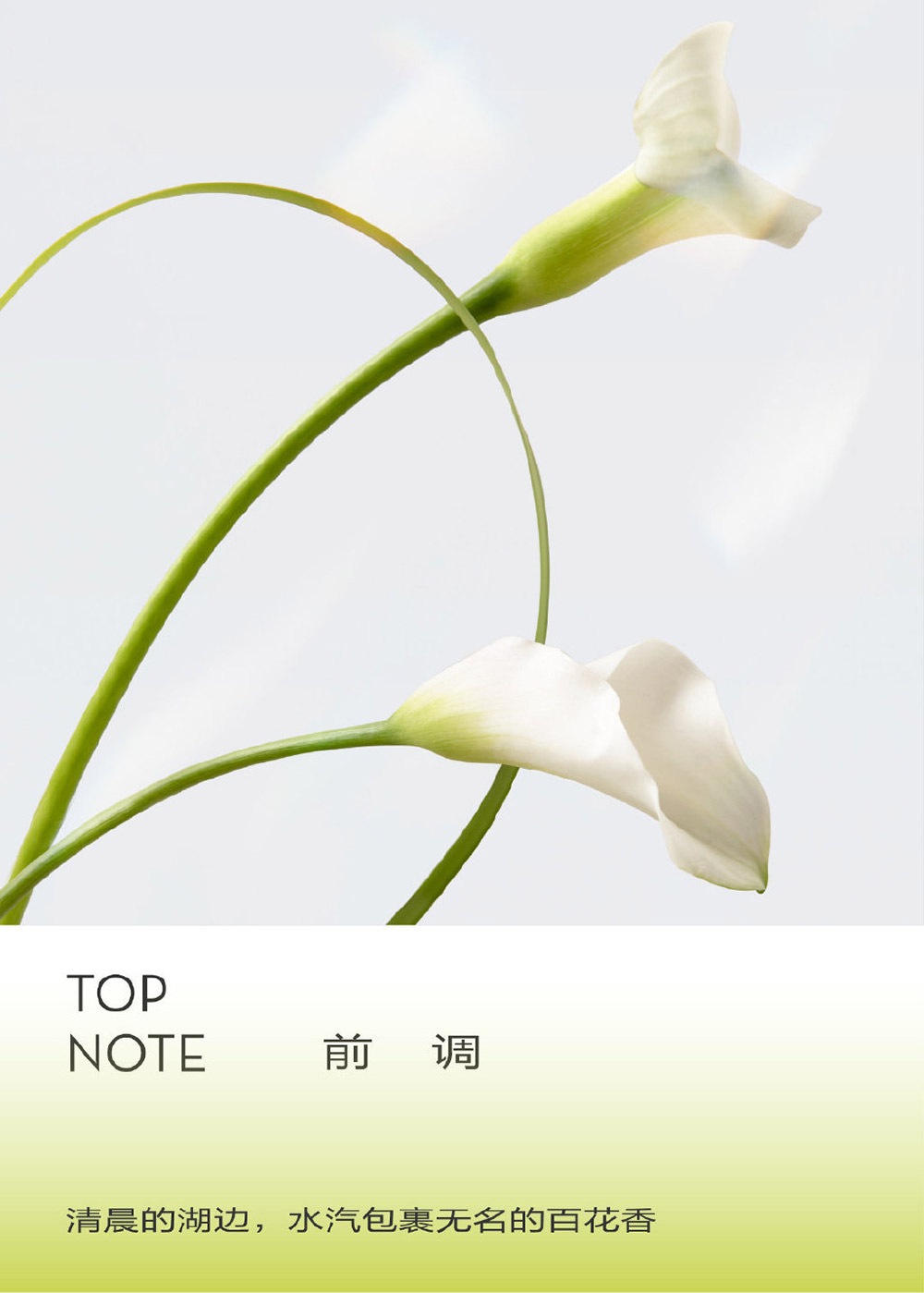 简单而高级！30张喜茶产品海报设计