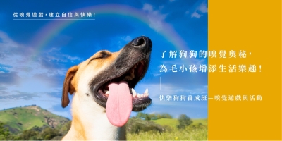 有关宠物主题的线上活动banner设计 - 12图